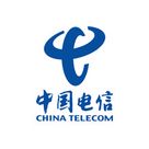 Logo von China Telecom (Deutschland) GmbH