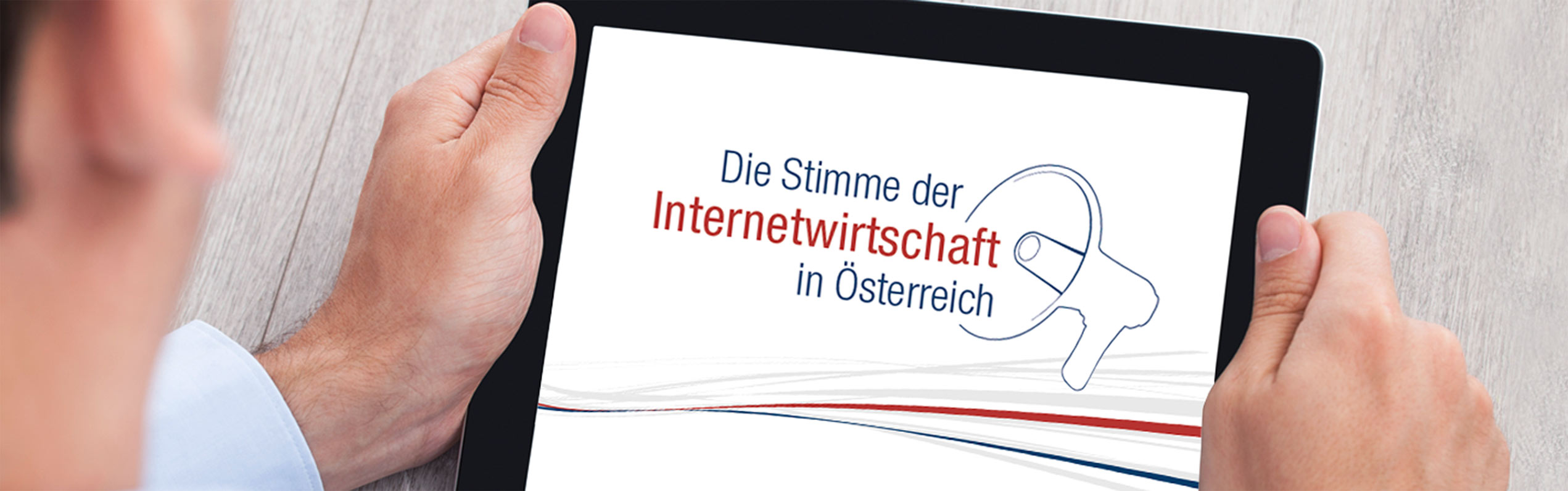 Die Stimme der Internetwirtschaft in &Ouml;sterreich